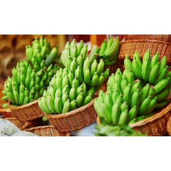 Green Banana  (50)-2272866-86413.webp